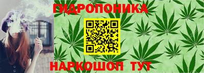 сатива Первоуральск
