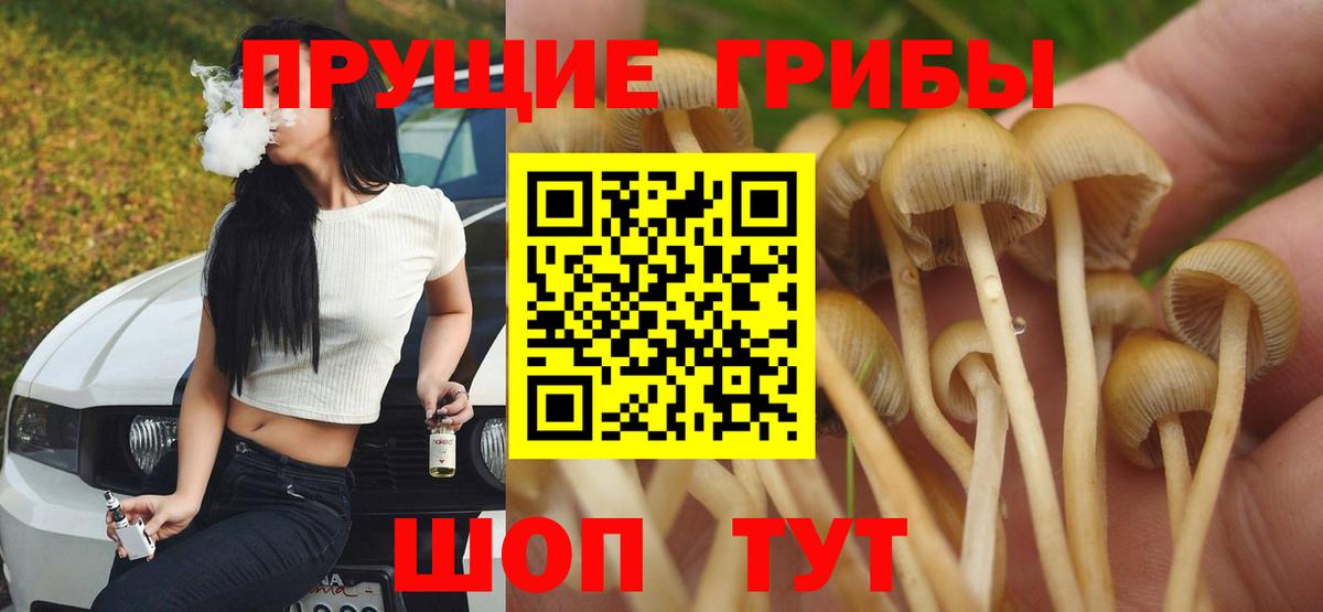 Псилоцибиновые грибы GOLDEN TEACHER Сибай
