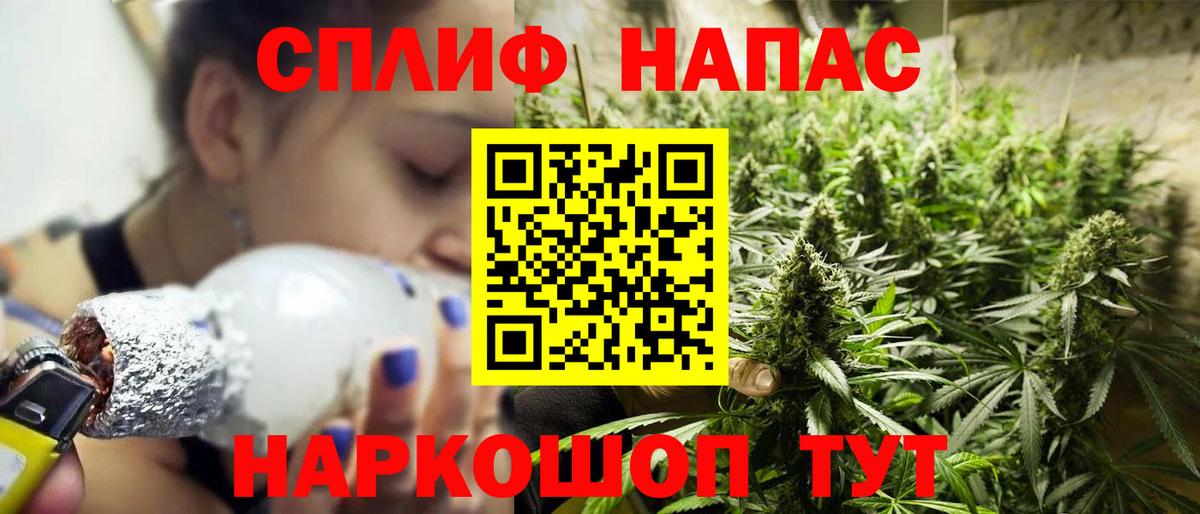 Каннабис OG Kush Сибай