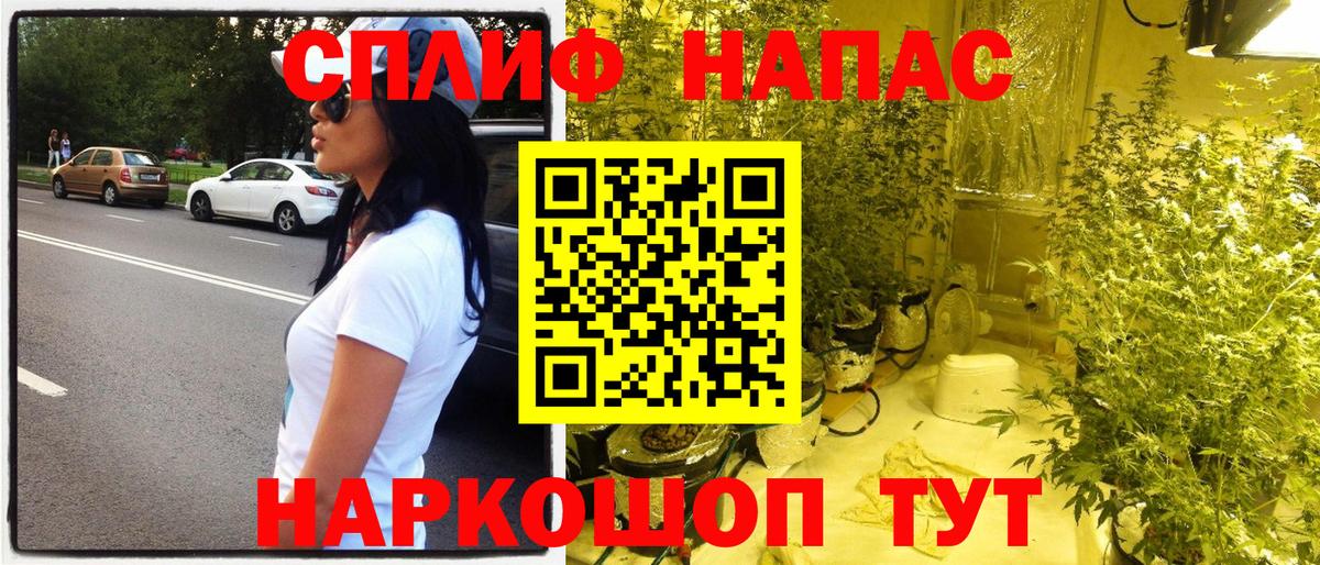 Бошки марихуана сатива  Вход с VPN  Бошки Шишки план  Шишки марихуана сатива  Сибай 